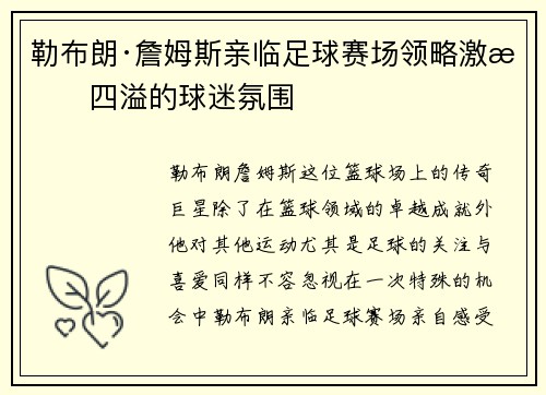 勒布朗·詹姆斯亲临足球赛场领略激情四溢的球迷氛围